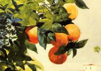 Homer, Winslow - Oranges on a Branch